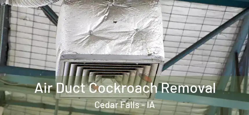 Air Duct Cockroach Removal Cedar Falls - IA