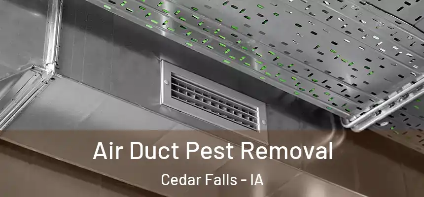  Air Duct Pest Removal Cedar Falls - IA