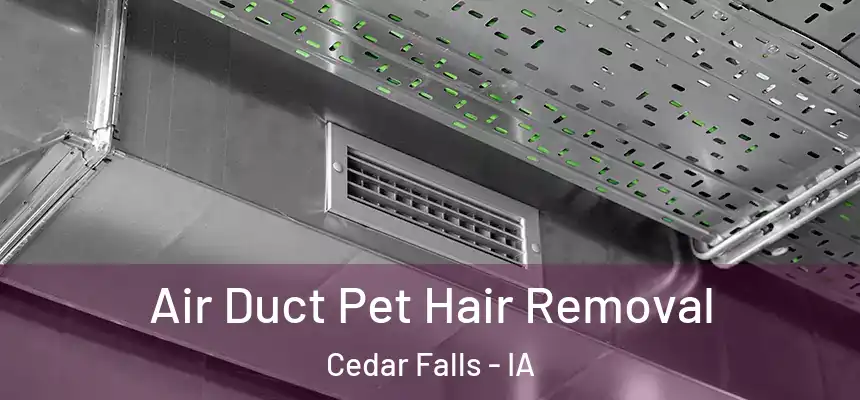  Air Duct Pet Hair Removal Cedar Falls - IA