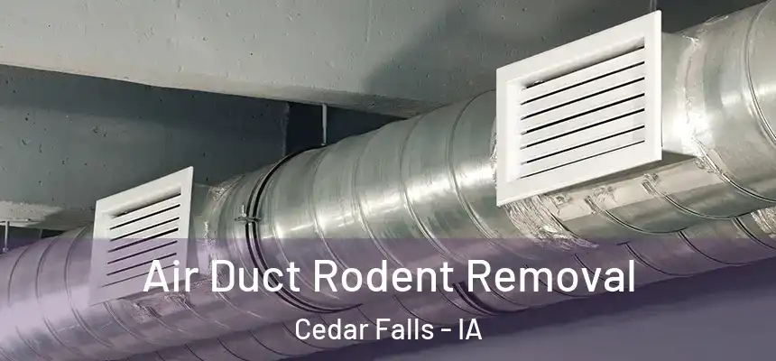  Air Duct Rodent Removal Cedar Falls - IA