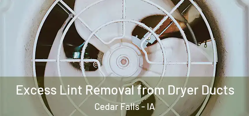  Excess Lint Removal from Dryer Ducts Cedar Falls - IA