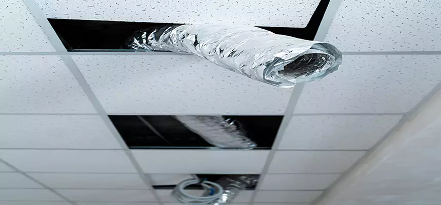 Affordable HVAC Sanitizing After Pest Removal in Cedar Falls