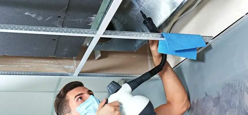 Our Air Duct Rodent Removal Services in Cedar Falls, IA