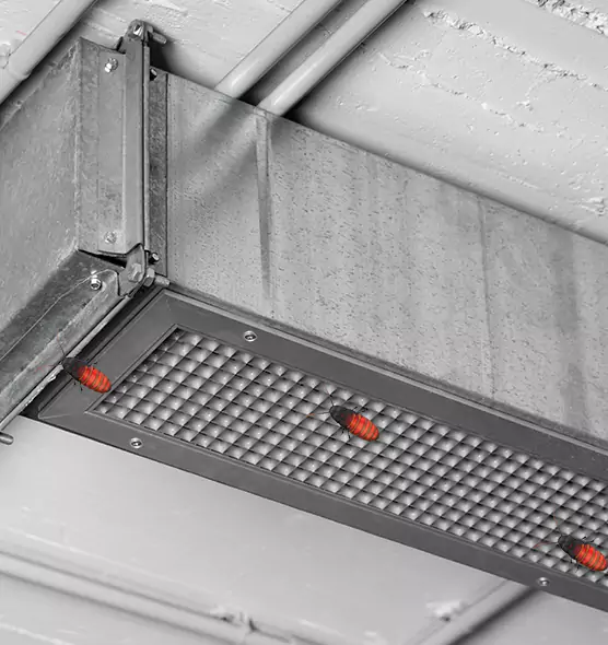 About Air Duct Cockroach Removal in Cedar Falls, IA