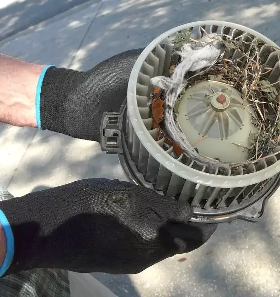 About Air Duct Mice Removal in Cedar Falls, IA