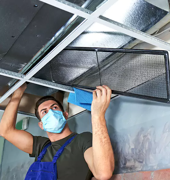 Professional Air Duct Pollen Cleaning in Cedar Falls, IA