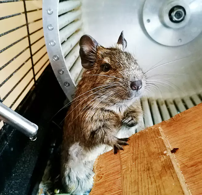 Why Homeowners & Businesses Trust Us Cedar Falls, IA