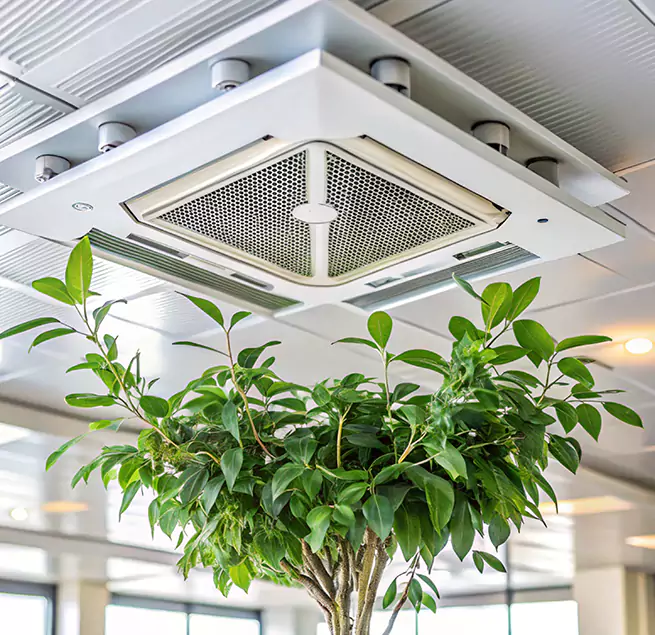 Why Homeowners & Businesses Trust Us in Cedar Falls, IA?