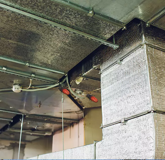 Why Homeowners & Businesses Trust Us Cedar Falls, IA?